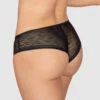 Sheer Lace Hipster Knicker -Leonisa Sale Store 012961 700 1200X1500 2021 1