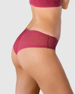 Sheer Lace Hipster Knicker -Leonisa Sale Store 012961 A80 1200X1500 1