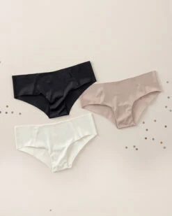 Seamless Hipster Knicker With Decorative Contrast Stitching -Leonisa Sale Store 012976 253 1200x1500 2021 5