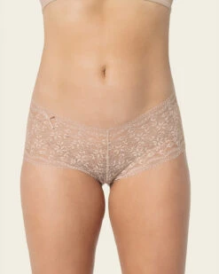 Hiphugger Style Knicker In Modern Lace -Leonisa Sale Store 072264 801 1200x1500 2023 2
