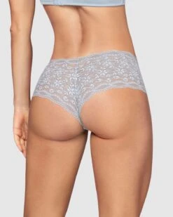 Hiphugger Style Knicker In Modern Lace -Leonisa Sale Store 72264 591 1200X1500 1